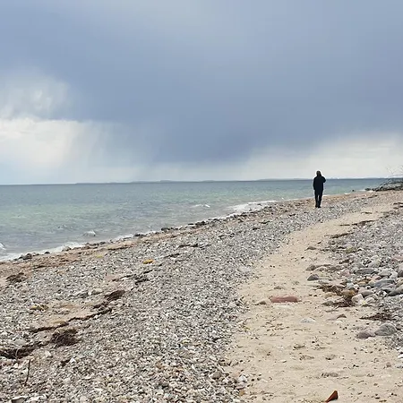 Rinkenaeshus Kleine *