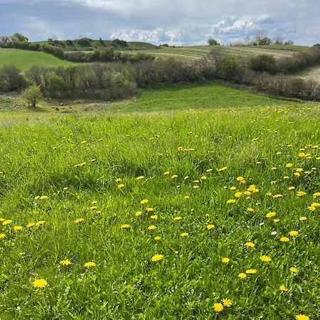 Apartment Rinkenaeshus Kleine *